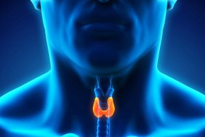 Los nódulos tiroideos son protuberancias sólidas o llenas de líquido que se forman dentro del tiroides. La gran mayoría de los nódulos tiroideos son benignos y no producen síntomas.